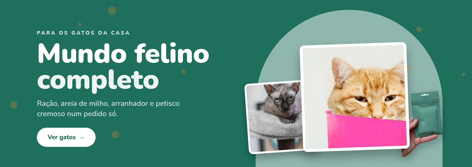 Quintal dos Bichos — Mundo felino